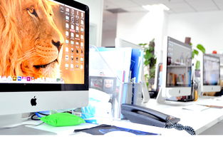 平面設(shè)計(jì)，不止是美工 在「看準(zhǔn)網(wǎng)」上洞察行業(yè)趨勢(shì)與職業(yè)發(fā)展